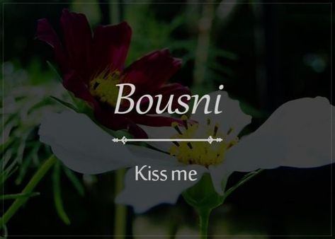 "Bousni - KIss Me" - #bousni #kiss #me #words #vocabulary Urdu Words With Meaning, Hindi Words, Uncommon Words, Urdu Love Words, Unusual Words, Rare Words, Word Definitions, Urdu Words, Special Words