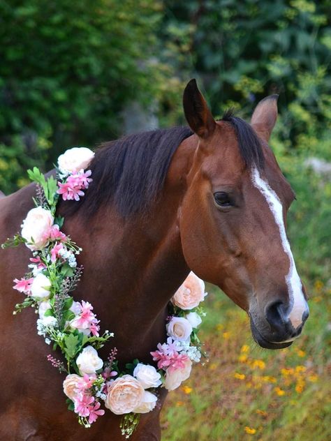 Horse With Flower Crown, Horseback Riding Aesthetic, Horse With Flowers, Horses Stuff, Horse Halloween Costumes, Horse Halloween, Horses Photography, Horse Flowers, Horse Mane