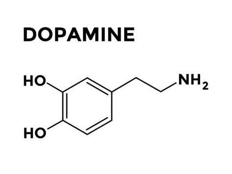 790+ Dopamine Stock Illustrations, Royalty-Free Vector Graphics & Clip Art Dopamine Tattoo Simple, Dopamine Molecule Tattoo, Molecule Tattoo Dopamine, Tattoo Design Minimalist, Dopamine And Serotonin Molecule, Dopamine Tattoo, Geometric Tattoo Stencil, Dopamine Molecule, Geometric Flower Tattoo