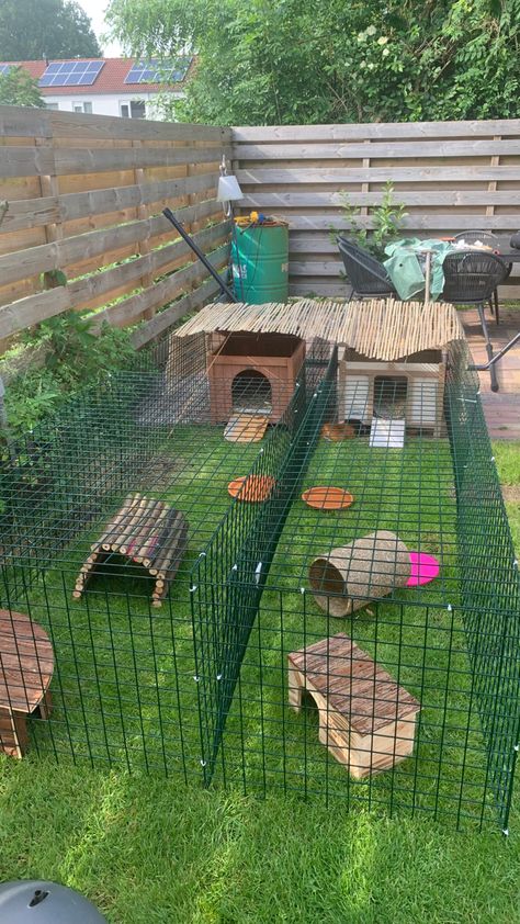 Bunny House Diy Outdoor, Rabbit Area Outdoor, Backyard Bunny Habitat, Outdoor Pet Enclosure Rabbit, Outdoor Rabbit Cage Ideas, Bunny Cage Ideas Outdoor, Outdoor Bunny Play Area, Diy Outdoor Bunny Enclosure, Guinea Pig Outdoor Cage Ideas