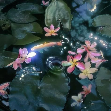 Nothing But Flowers, Pretty Landscapes, Flower Therapy, Playlist Covers, Pics Art, New Wall, Water Lilies, Nature Aesthetic, Images Gif