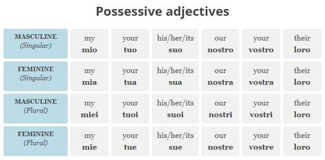 Italian possessives Italian Possessive Adjectives, Italian Possessive Pronouns, Italian Pronouns, Italian Adjectives, Free Italian Lessons, How To Speak Italian, Plural Words, Possessive Adjectives, Possessive Pronoun