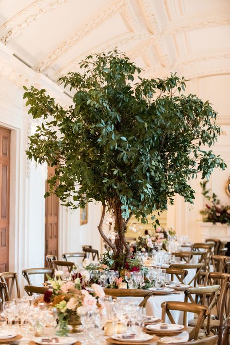 Dramatic Tree Centerpieces at DAR in Washington, DC - Sweet Root Village Blog Tall Tree Centerpiece, Tree Wedding Reception Decor, Tree Event Decor, Wedding Tree Centerpieces, Tree Centerpieces Wedding, Tree Centrepiece Wedding, Yellowstone Party, Tree Centrepiece, Tree Branch Centerpieces