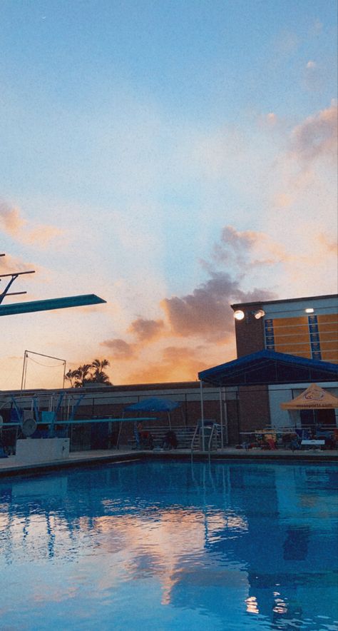 sunset || pool aesthetic || college swimming || pools || USA diving || indian river state college || swimming aesthetic Diving Board Aesthetic, Diving Aesthetic Sport, College Swimming, Swimming Aesthetic, Pool Aesthetic, Work Vision Board, Aesthetic College, Diving Board, Cool Swimming Pools