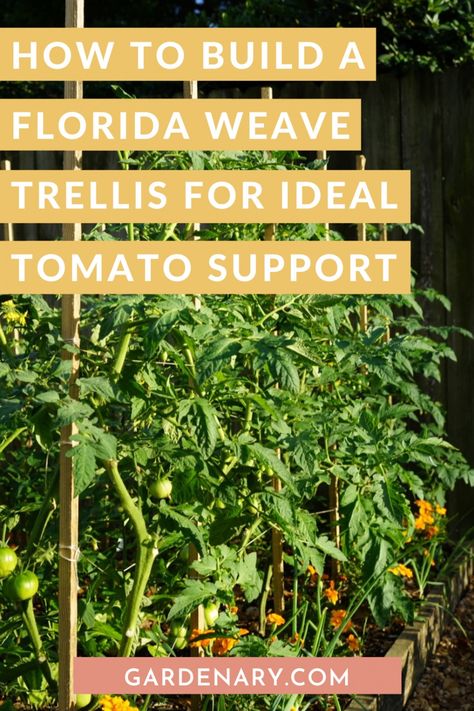 How to Build a Florida Weave Trellis for Ideal Tomato Support • Gardenary Florida Weave, Tomato Support, Houston Garden, Tomatoes Growing, Determinate Tomatoes, Tomato Trellis, Tomato Growing, Metal Trellis, Tomato Seedlings