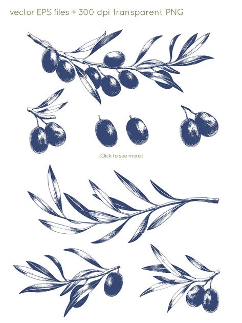 Hand drawn olive collection #individual#elements#projects#stationery Olive Branch Artwork, Olive Branch Botanical Illustration, Olive Branch Drawing, Olive Drawing, Olive Branch Design, Olive Tattoo, Branch Drawing, Olive Branch Tattoo, Olive Plant