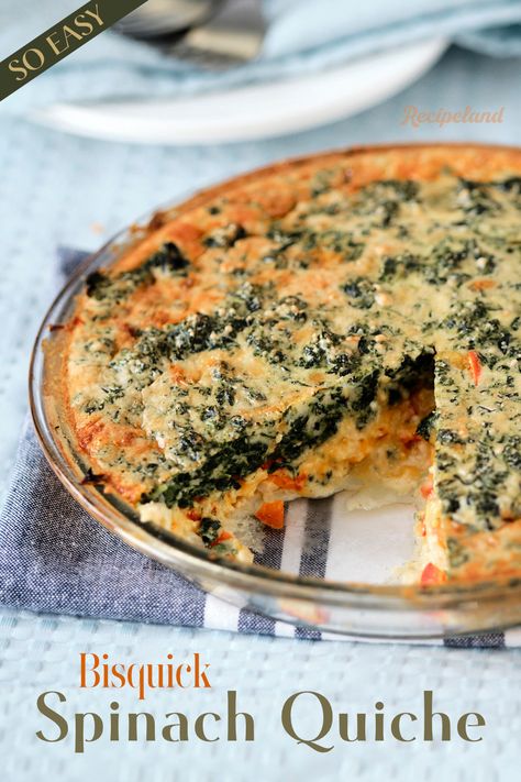 An easy and delicious crustless spinach quiche made with Bisquick, seasoned fluffy eggs, onions, cheese, and an impossible crust that makes itself! The quiche is great for a quick Sunday brunch, breakfast, lunch, or dinner. Bisquick Impossible Spinach Pie, Quiche With Bisquick Crust, Bisquick Impossible Quiche, Spinach Impossible Pie, Crustless Quiche With Bisquick, Bisquick Crustless Quiche, Bisquick Spinach Quiche Recipes, Impossible Quiche Recipes, Impossible Quiche Bisquick