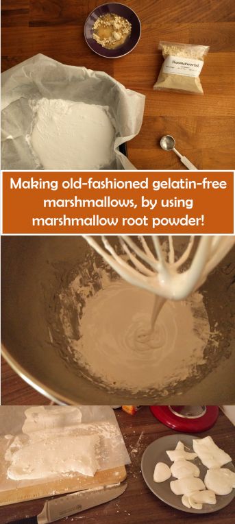 "Making old fashioned gelatin free marshmallow using marshmallow root" - Until today, I did not even realise there was such a thing as marshmallow root; might be fun to try. Real Marshmallow Recipe, Marshmallow Root Benefits, Gelatin Free Marshmallows, Vegetarian Marshmallows, Marshmallow Root Powder, Healthy Marshmallows, Homemade Marshmallow Recipe, How To Make Marshmallows, Vegan Marshmallows