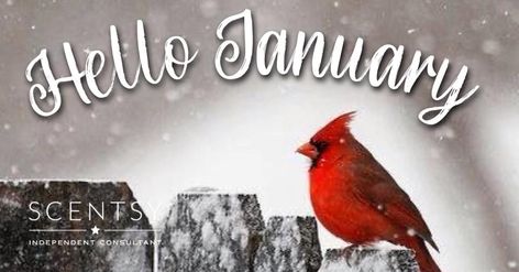 Scentsy January Banner, Winter Facebook Covers, Scentsy Facebook Cover, Scentsy Banner, Christmas Cover Photo, Scentsy Pictures, Scentsy Consultant Business, Scentsy Flyers, Scentsy Facebook Party