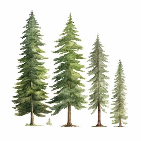 Pine Tree Illustration, Tree Drawing Simple, Pine Tree Drawing, Trees Watercolor, Summer Tee Shirts, Forest Illustration, Instagram Ideas Photography, Hand Drawn Illustration, Tree Illustration