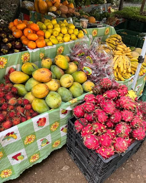 Costa Rica Summer Aesthetic, Aesthetic Costa Rica, Costa Rican Culture, Backpacking South America Aesthetic, Costa Rica Fruit, Fruit And Veg Market, Malibu Home, Mexico Food, Mexico Culture