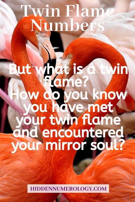 444 Meaning Twin Flames, 555 Twin Flame Meaning, 333 Twin Flame Meaning, 444 Twin Flame, 222 Twin Flame, Twin Flame Meaning, Mirror Soul, 333 Meaning, 444 Meaning