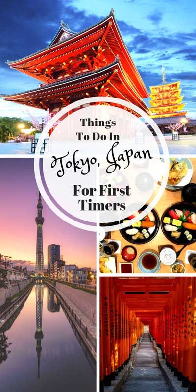 Things To Do In Tokyo, Japan Travel Destinations, Tokyo Japan Travel, Japan Itinerary, Japan Vacation, Mont Fuji, Japan Travel Tips, Japan Travel Guide, Wakayama