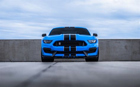 Descargar fondos de pantalla Ford Mustang, 2017, vista de frente, la optimización, el azul coupé deportivo, auto deportivo Americano, Mustang Cobra, Ford Hd Wallpapers Of Cars, Mustang Shelby Cobra, Sports Cars Mustang, Cars Mustang, Ford Mustang Bullitt, Mustang Wallpaper, Mustang Bullitt, Sports Car Wallpaper, Bmw Wallpapers