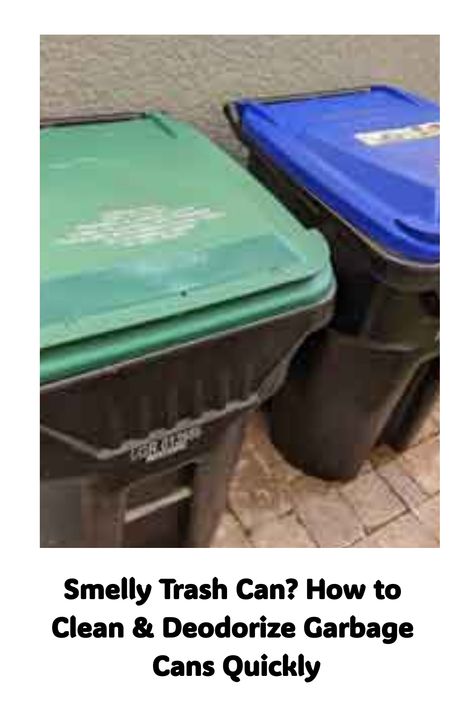 Smelly Trash Can? How to Clean & Deodorize Garbage Cans Quickly Garbage Can Cleaning, Clean Garbage Can, Garbage Can Deodorizer Diy, Odor Eliminator Diy, Bleach Bottle, Outdoor Trash Cans, Natural Disinfectant, Clean Garage, Waste Container