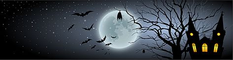 Horror Youtube Banner, Youtube Banner Cartoon, Halloween Facebook Cover, Animation Character Drawings, Cool Skull Drawings, Greenscreen Ideas, Skull Drawings, Magic Background, Fb Profile Photo