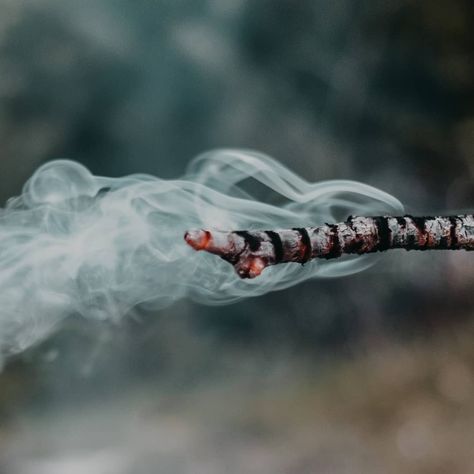 Nicolina Kolster on Instagram: “Smudging. Cleansing smoke. The smoke from various herbs and plants have been used in all cultures throughout time to lift the spirit,…” Ancestral Altar, Outdoors Aesthetic, Herbs And Plants, Burning Sage, Witchy Woman, Planting Herbs, The Spirit, Being Used, Incense