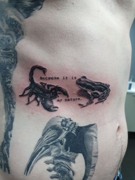 The Scorpion And The Frog, Frog And Scorpion Tattoo, Scorpion And Frog Tattoo, Scorpion And The Frog, Swag Tattoo, Snail Tattoo, Watercolor Tattoo Ideas, Medieval Tattoo, Torso Tattoos