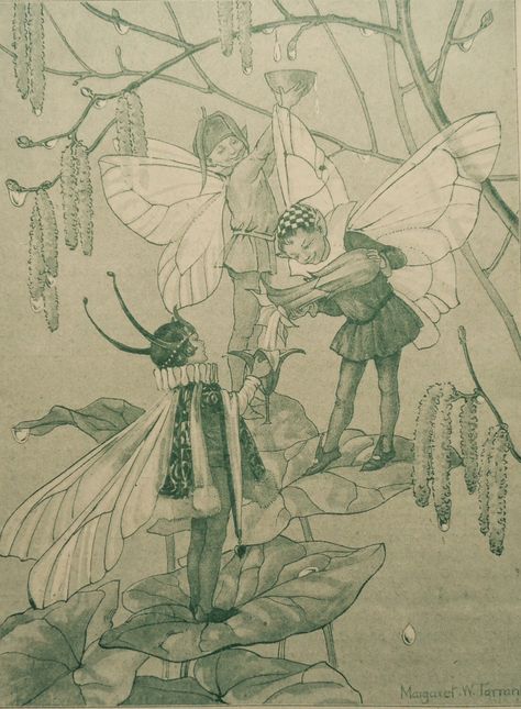 margaret w tarrant Fairy Tail Illustration, Tree Fairies, Fairy Tail Drawing, Margaret Tarrant, Fairy Images, Baby Fairy, Magical Art, Fantasy Paintings, Flower Fairies