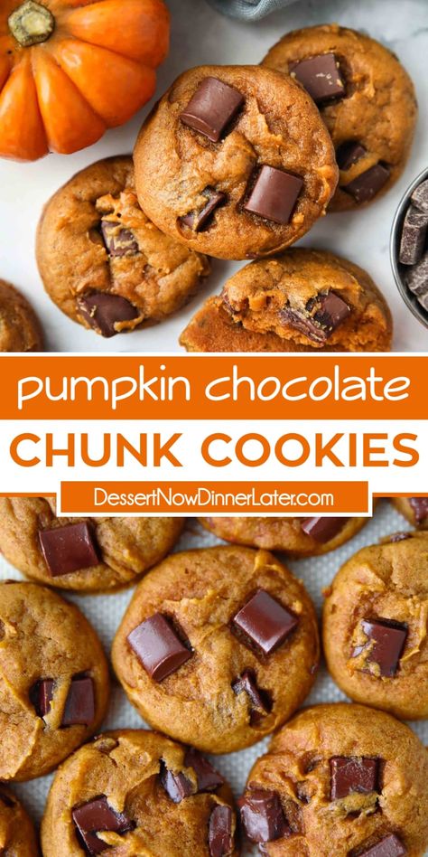 Pumpkin Chocolate Chip Cookies Easy, Pumpkin Cookies Easy, Pumpkin Chocolate Chip, Pumpkin Chocolate Chip Cookies, Cookies Chocolate, Pumpkin Chocolate Chips, Chocolate Chunk, Chip Cookie Recipe, Chocolate Chunk Cookies