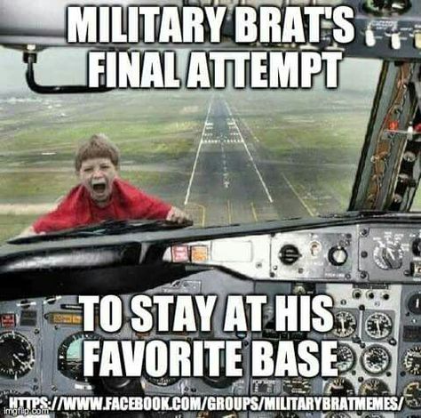 Military Brats Camping Trip With Friends, Bad Luck Brian, Pilot Humor, Funny Cute Memes, Very Demotivational, Military Brat, Army Brat, Aviation Humor, Trip With Friends