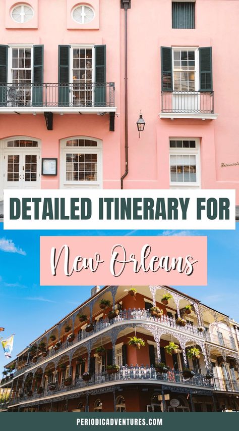 Click here for a detailed New Orleans itinerary for 3 or 4 days in the Big Easy with important information like how long is enough time to visit New Orleans, where to stay in New Orleans, what to eat in New Orleans, and more! 3 Day New Orleans Itinerary, New Orleans 4 Day Itinerary, New Orleans Itinerary Things To Do, 4 Days In New Orleans, 3 Days In New Orleans, New Orleans Spring Break, New Orleans Itinerary, New Orleans Garden District, Swamp Tours