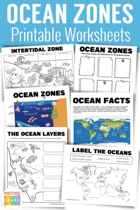 3rd Grade Ocean Projects, Ocean Theme 2nd Grade, Ocean Science Kindergarten, Gather Round Homeschool Oceans, Ocean Zones Activities, Ocean Educational Activities, First Grade Ocean Activities, Ocean Study Homeschool, Ocean Layers For Kids