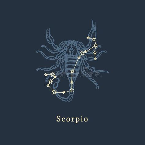 Scorpio Zodiac Illustration, Scorpio Astrology Art, Zodiac Scorpio Aesthetic, Scorpio Zodiac Aesthetic, Constellation Scorpion, Scorpion Constellation, Scorpio Illustration, Scorpion Illustration, Scorpio Graphic