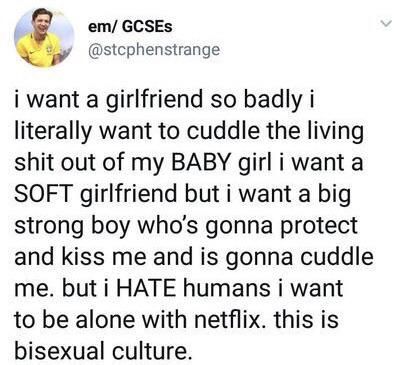 Bisexual Meme, Soft Girlfriend, Bisexual Quote, I Want A Girlfriend, Bi Memes, Asexual Aromantic, Lgbt Quotes, Lgbtq Quotes, Want A Girlfriend