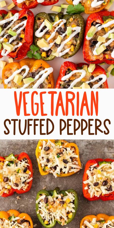 These vegetarian stuffed peppers are one of our favorite Mexican inspired meatless dinners. Filled with a hearty black bean, corn, and rice filling and topped with freshly grated cheese, they are so flavorful! Easy Stuffed Peppers Vegetarian, Stuffed Pepper Vegetarian Recipe, Veg Stuffed Bell Peppers, Vegan Stuffed Bell Pepper Recipes, Rice And Bean Stuffed Peppers, Vegetarian Recipes Stuffed Peppers, Recipes For Stuffed Bell Peppers, Filling Vegetarian Lunches, Stuffed Peppers With Spanish Rice