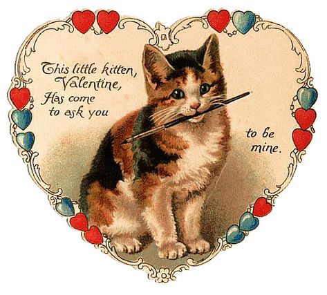 Victorian Valentines, Valentine Images, Printable Valentines Cards, Vintage Valentine Cards, Valentines Greetings, Cat Valentine, Cat Cards, Little Kittens, Vintage Greeting Cards