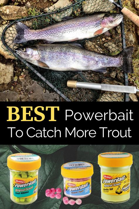 Fishing For Trout, Best Trout Lures, Crappie Rigs, How To Catch Trout, Kayak Fishing Accessories, Fishing Hacks, Fishing Trout, Steelhead Fishing, Rainbow Trout Fishing