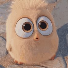 Bleh Tongue Out GIF - Bleh TongueOut StickTongueOut - Discover & Share GIFs Cute Sister, Cute Bunny Cartoon, Cute Bear Drawings, Bird Gif, Cartoon Wallpaper Hd, Angry Bird, Cartoon Gifs, Anime Gifts, Baby Owls