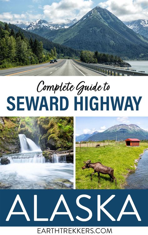 How to drive from Anchorage to Seward, Alaska on the Seward Highway. Best things to do on the drive: overlooks, wildlife spotting, short hikes, and more. Ride the Alyeska Aerial Tram, visit Whittier and the Alaska Wildlife Conservation Center, and more. Alaska Road Trip, Highway Map, Trip Activities, Seward Alaska, Alaska Wildlife, Kenai Fjords National Park, Alaska Adventures, Visit Alaska, Alaska Vacation