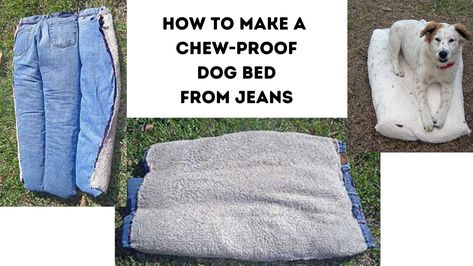 How to Make a Chew-Proof Dog Bed from Jeans Diy Washable Dog Bed, Diy No Sew Dog Bed, Chew Proof Dog Bed Diy, Denim Dog Toys Old Jeans, Chew Proof Dog Bed, Cheap Dog Beds, Denim Dog Bed, Dog Beds Homemade, Diy Mattress