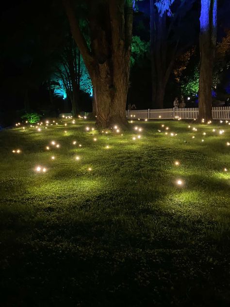 Backyard Deck Ideas, Firefly Wedding, Enchanted Forest Birthday Party, Garden Path Lighting, Enchanted Forest Birthday, Creative Backyard, Forest Birthday Party, Christmas Light Show, Dream Wedding Decorations