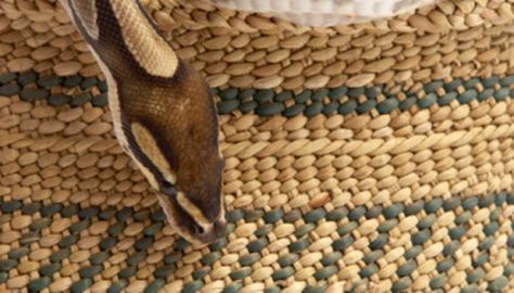 How to Weave a Grass Basket Weaving With Grasses, Sweet Grass Baskets, Weave A Basket, Sea Grass Basket, Rush Baskets, Home Decor Making, Sweetgrass Basket, Grass Art, Grass Basket