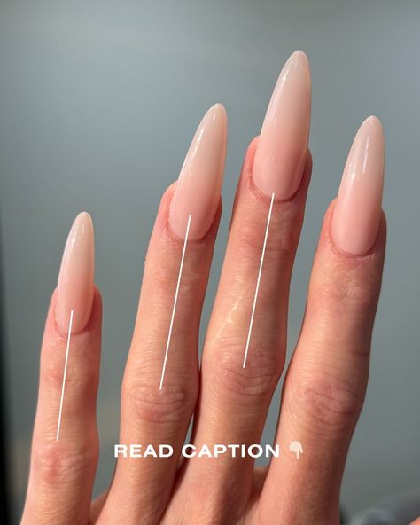 Have a client that has crooked fingers? Here is our application hack! Follow the client's knuckles when applying tips, this should give the illusion of straight fingers. Although your view is what everyone else will see, the client's view is what they will see every day for 2+ weeks. So make sure to look at ALL angles, both your view AND the client's 🙌 #cjacademyau #cjartistry #thenailconnection #naileducation #nails #nailart #nailpromagazine #nailtraining #acrylicnails #gel #gelnails #n... Crooked Fingers, Beginner Nail Tech, Nail Education, Nail Courses, Classy Nails, Nail Pro, Nails Nailart, Everyone Else, Gel Nails