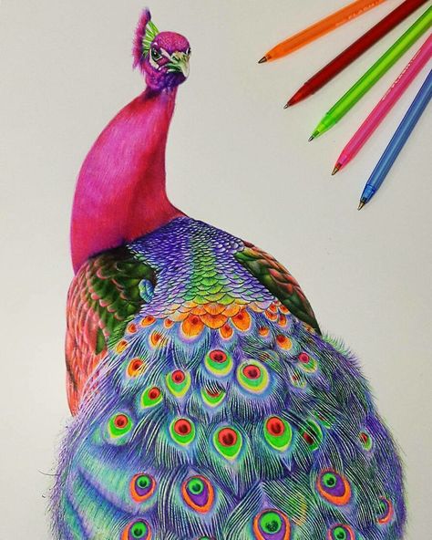 Colored Pens Drawing, Ballpoint Pen Art, Pen Art Work, Ballpoint Pen Drawing, Color Drawing Art, Pen Art Drawings, Colored Pencil Techniques, Pointed Pen, Color Pencil Art