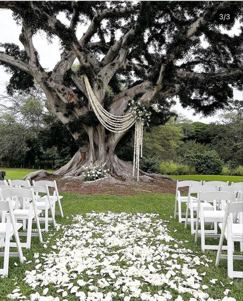 Possibly linen rather than white flowers strings due to budget Outdoor Ceremony Altar, Tree Decor For Wedding, Tree Arbor Wedding, Banyan Tree Wedding, Tree Altar Wedding, Under Tree Wedding Ceremony, Dillingham Ranch Wedding, Tree Decorations Outdoor Wedding, Tree Ceremony Wedding