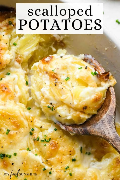 Best Scalloped Potatoes Recipe Creamed Dill Potatoes, Southern Living Scalloped Potatoes, Scalloped Potato’s, Scalloped Potatoes With Sour Cream, Scalopped Potatoes Recipe, Scalloped Potatoes No Cheese, Martha Stewart Scalloped Potatoes, Best Scalloped Potatoes Recipe, Scalloped Potatoes With Cream