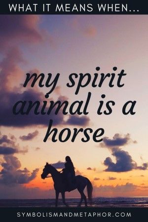 Horse Symbolism (7 Meanings) Dreams & Spirit Animals Horse Symbolism Meaning, Spirit Animal Horse, Horse Spirit Animal Meaning, Horse Symbolism, Horse Spirit Animal, Horse Symbol, Spirit Animal Meaning, Animal Meanings, Human Back