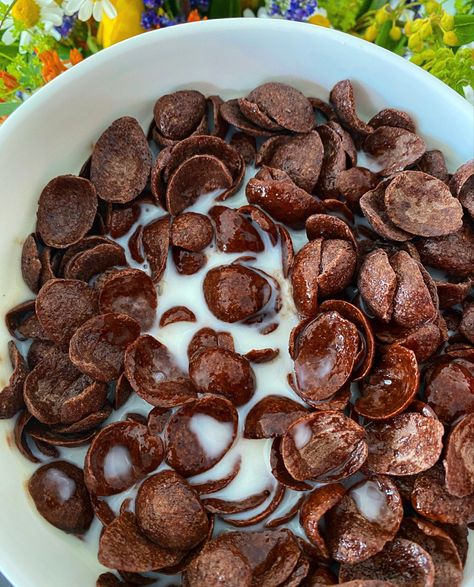 Although I loooove my smoothie bowls and oatmeals, sometimes a simple bowl of chocolate crisps is what I crave 🤎🤤 Sooo, I want it, I got it 😏  ⠀⠀⠀⠀⠀⠀⠀⠀⠀ What are your favorite breakfast cereals? 😊️ ⠀⠀⠀⠀⠀⠀⠀⠀⠀ #nutrirout ---------------------------------------------------------------------------- #smoothie #aesthetic #healthybreakfast #breakfastidea #getfit #vegan #veganfood #veganweighloss #veganhealthy #vegandeutschland #veganhannover #nutritionist #nutritionisthannover #cereals #chocolate # Smoothie Aesthetic, Chocolate Cereal, Smoothie Bowls, Homemade Snacks, Morning Food, I Got It, Satisfying Food, Food Obsession, Cafe Food