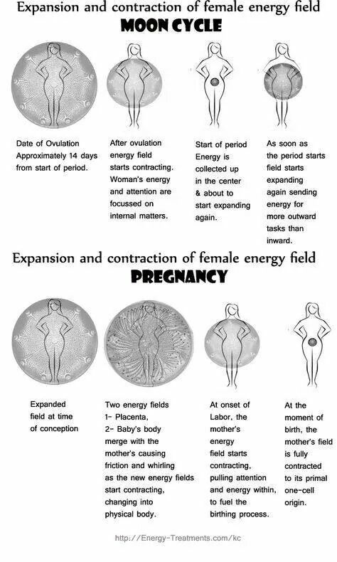 Womb Magic, Indigenous Studies, Womb Healing, Female Energy, Pregnancy Diet, Moon Time, Divine Feminine Spirituality, Menstrual Health, Feminine Health