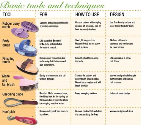 This is a diagram of each tool and their use and technique. This is an amazing diagram! Big thumbs up! Horse Brushes, Horse Lessons, Horse Information, Healthy Horses, Horse Care Tips, Cai Sălbatici, Horse Facts, Horse Riding Tips, Rasy Koni