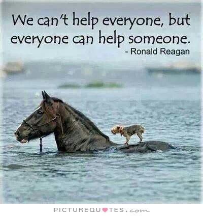 Helping Animals Quotes Horse Quotes, Ronald Reagan, Animal Quotes, Random Acts Of Kindness, Quotable Quotes, A Horse, 귀여운 동물, Beautiful Quotes, Great Quotes