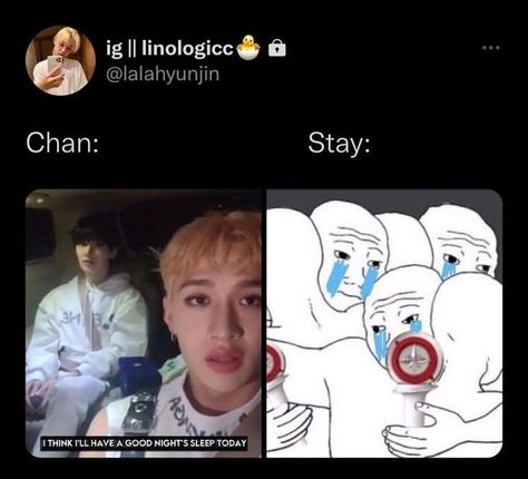 Unusual Animal Friendships, Animal Friendships, Stray Kids Bang Chan, Bear Grylls, College Fund, Skz Memes, Stray Kids Chan, Funny Kpop Memes, Chris Chan