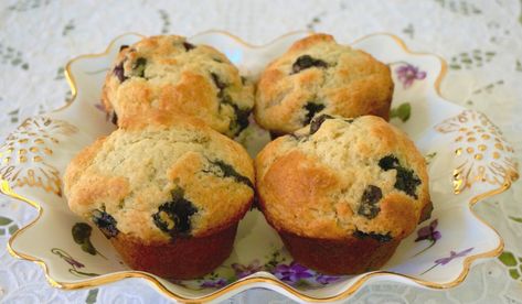 Tips on Salt Free, Plus Blueberry Muffins, salt free and vanilla-y — Ronnie Fein Sodium Free Recipes, Bluberry Muffins, Vanilla Muffins, Filled Muffins, Low Salt, Muffin Recipes Blueberry, Low Sodium Recipes, Smoked Fish, Salt Free