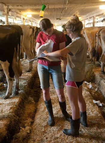 Cow Shed Design, Country Mountains, Foto Cowgirl, Farm School, Farmer Girl, Conjoined Twins, Female Farmer, Vet School, Farm Lifestyle