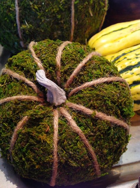 Moss Covered Pumpkin Moss Pumpkins Diy, Moss Chair Diy, Moss Halloween Decor, Moss Wreath Halloween, Moss Inspiration, Skull Covered In Moss, Decor Pumpkins, Diy Moss, Large Pumpkin